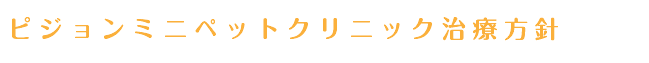 ピジョンミニペットクリニック治療方針